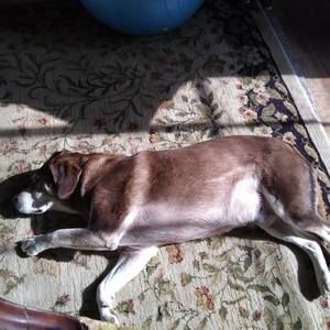 Meet your Posher, Lea ann